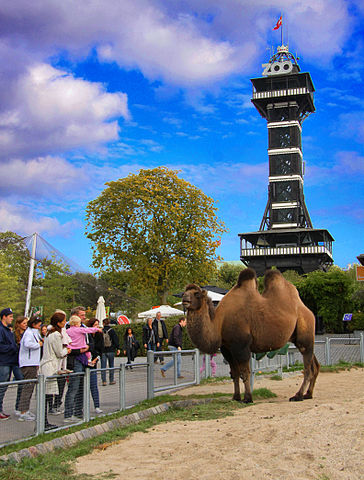 364px-Copenhagen_Zoo_Tower_and_camel.jpg