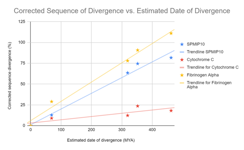 File:Corrected sequence divergence.png