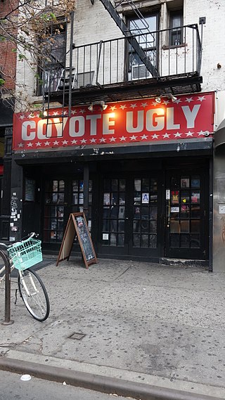 <span class="mw-page-title-main">Coyote Ugly Saloon</span> U.S.-based bar chain