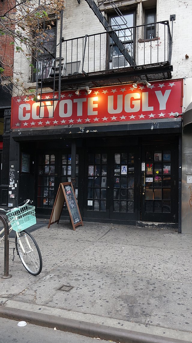 Coyote Ugly: Home to bra chandeliers and bartop dancing - Las