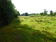 Kransford Meadow 1.jpg