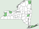 Crepis tectorum NY-dist-map.png