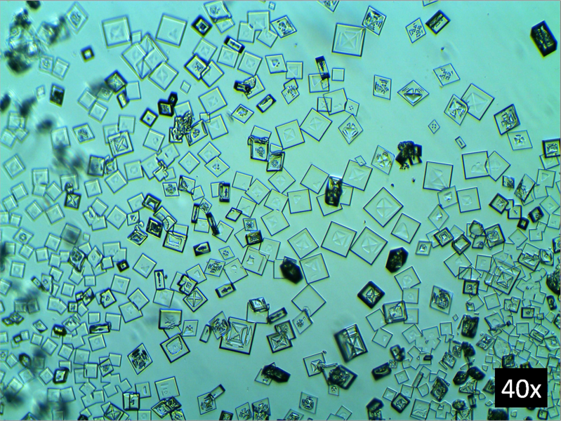 File:Crystals CsClO4.png