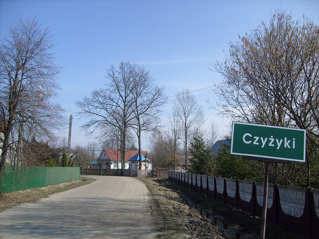 Czyżyki