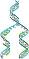 Image 87The replicator in virtually all known life is deoxyribonucleic acid. DNA is far more complex than the original replicator and its replication systems are highly elaborate. (from History of Earth)