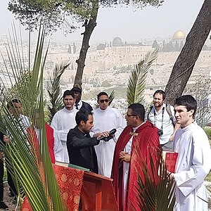 DOMINGO DE RAMOS JERUSALEN 2019-2.jpg