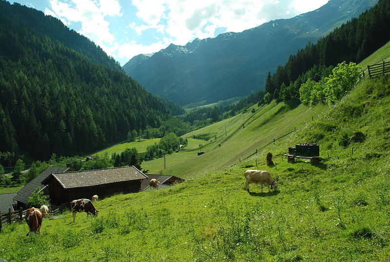 File:DSC 0736-view-up-oberberg-tal.JPG