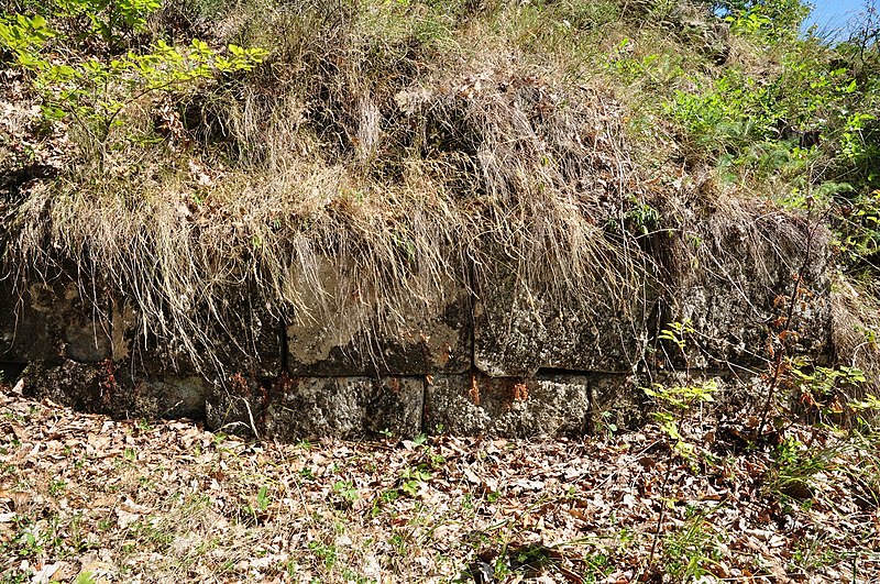 File:Dacian Fortress of Capalna 070.jpg