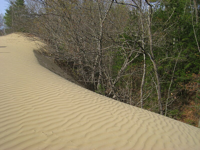 File:Desert of Maine - Freeport, ME - IMG 8051.JPG