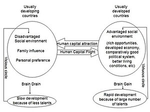 Diagram showing the process of brain drain Diagram showing the process of brain drain.jpg