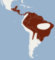 Distribution of Chrotopterus auritus.png