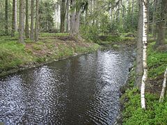 Der Graben nahe beim Abfluss aus dem Glatzener Teich