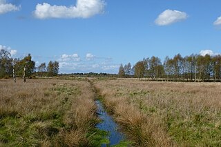 <span class="mw-page-title-main">Strensall Common</span> Protected area in North Yorkshire, England
