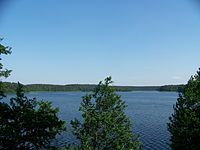 Drawienski Parkı Narodowy - jezioro Ostrowieckie 2.jpg