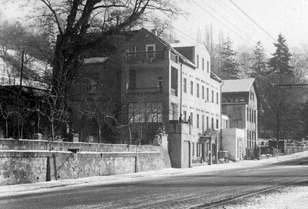 Dresden.Calberlastraße 29. 1961. 00