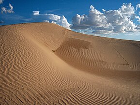 Deserto con dune Samalayuca, Chihuahua