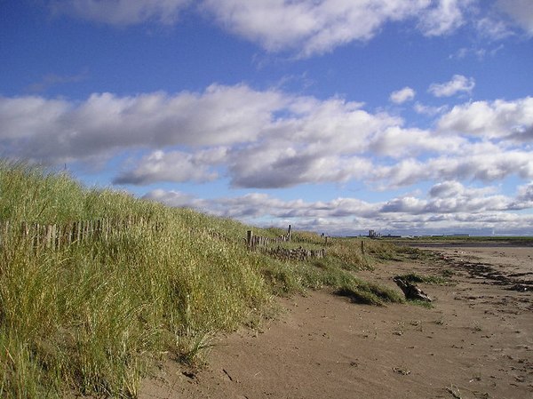Stevenston sand dunes.