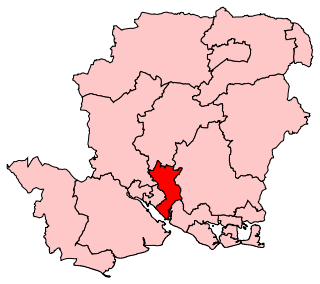 <span class="mw-page-title-main">Eastleigh (UK Parliament constituency)</span> UK Parliament constituency since 1955