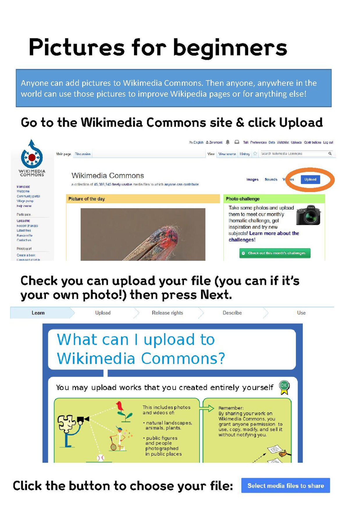 File:Editing Wikimedia Commons - Beginners guide.pdf - Wikipedia