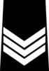 پلیس ادمونتون - Sergeant.png