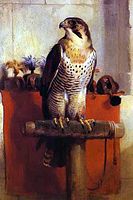 Edwin Landseer. Falcon.JPG