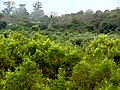 Embalse de Los Cerritos