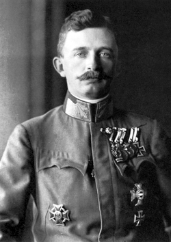 קרל הראשון, 1917