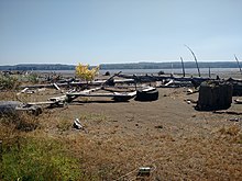 Evidence of human visitors at Stanley Island