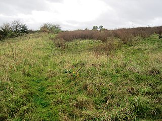 <span class="mw-page-title-main">Enderby Warren Quarry</span>