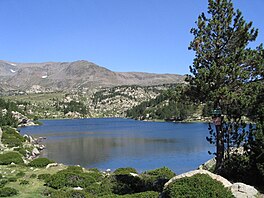 Estany de la Comassa.jpg