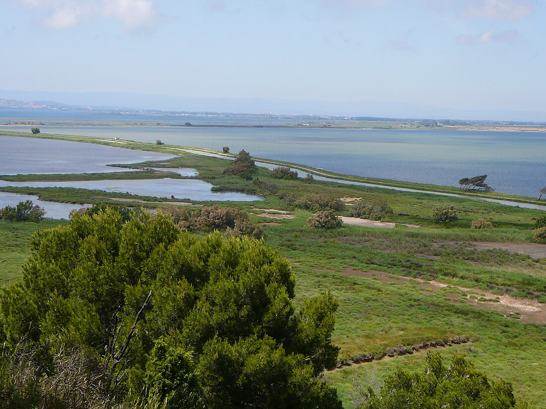 Île Sainte-Lucie