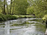 River Blackwater (River Loddon)