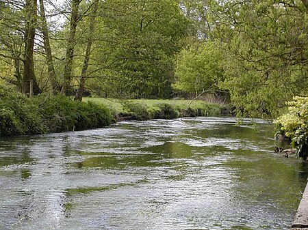 Eversley RiverBlackwater