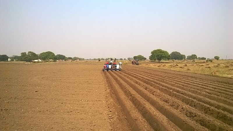 File:Farmers and plough in Uttarpardesh, 2014 (2).jpg