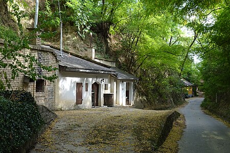 Löss-Hohlweg Hammergraben mit Kellergasse in Fels am Wagram