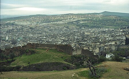 Medina Fes el Bali - view from nord