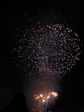Firework-London-Nov2005.jpg