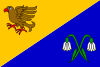 Vlajka obce Strážná