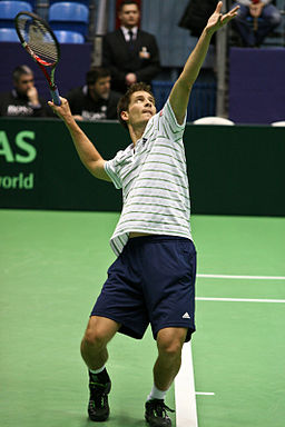 Florian Mayer Davis Cup 04032011 2