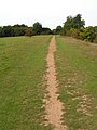Footpath along the River Medway, Haysden Country Park - geograph.org.uk - 1048584.jpg