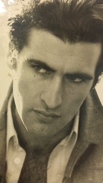 File:Franco Valentino Artista.jpg