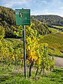 * Nomination Pinot Blanc grape variety information board --Ermell 21:59, 6 January 2023 (UTC) * Promotion  Support Good quality. --Velvet 08:26, 7 January 2023 (UTC)