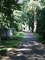 Baumallee auf "neuem" Friedhof Bockenheims