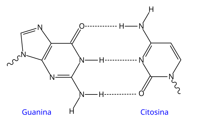 File:GC DNA appaiamento.svg