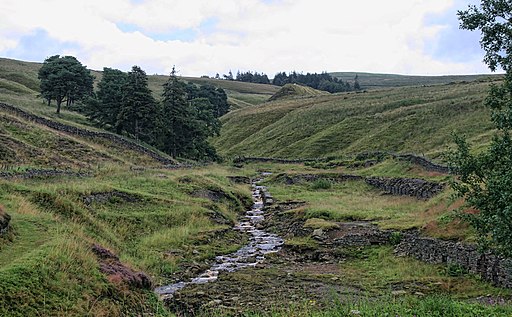 Garrigill Burn - geograph.org.uk - 2553067