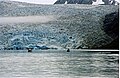 Sông băng ở vườn quốc gia và khu bảo tồn Vịnh Glacier