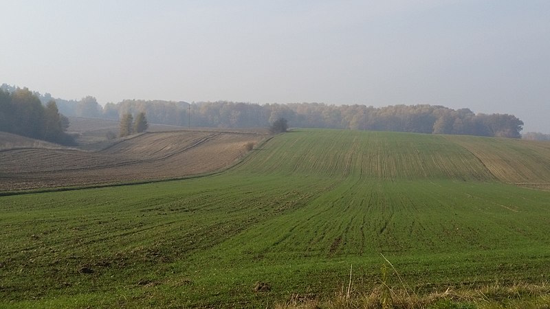 File:Gmina Racławice, Poland - panoramio (1).jpg