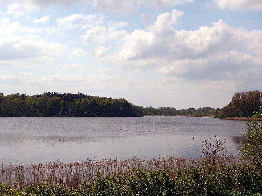 Grabauer See