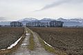 English: Landscape south east of the village Deutsch: Landschaft südöstlich der Ortschaft