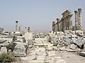 Great Colonnade at Apamea, Columns 2, Apamea, Syria.jpg